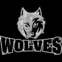 GLT32 SILVER GLITTER Thumbnail